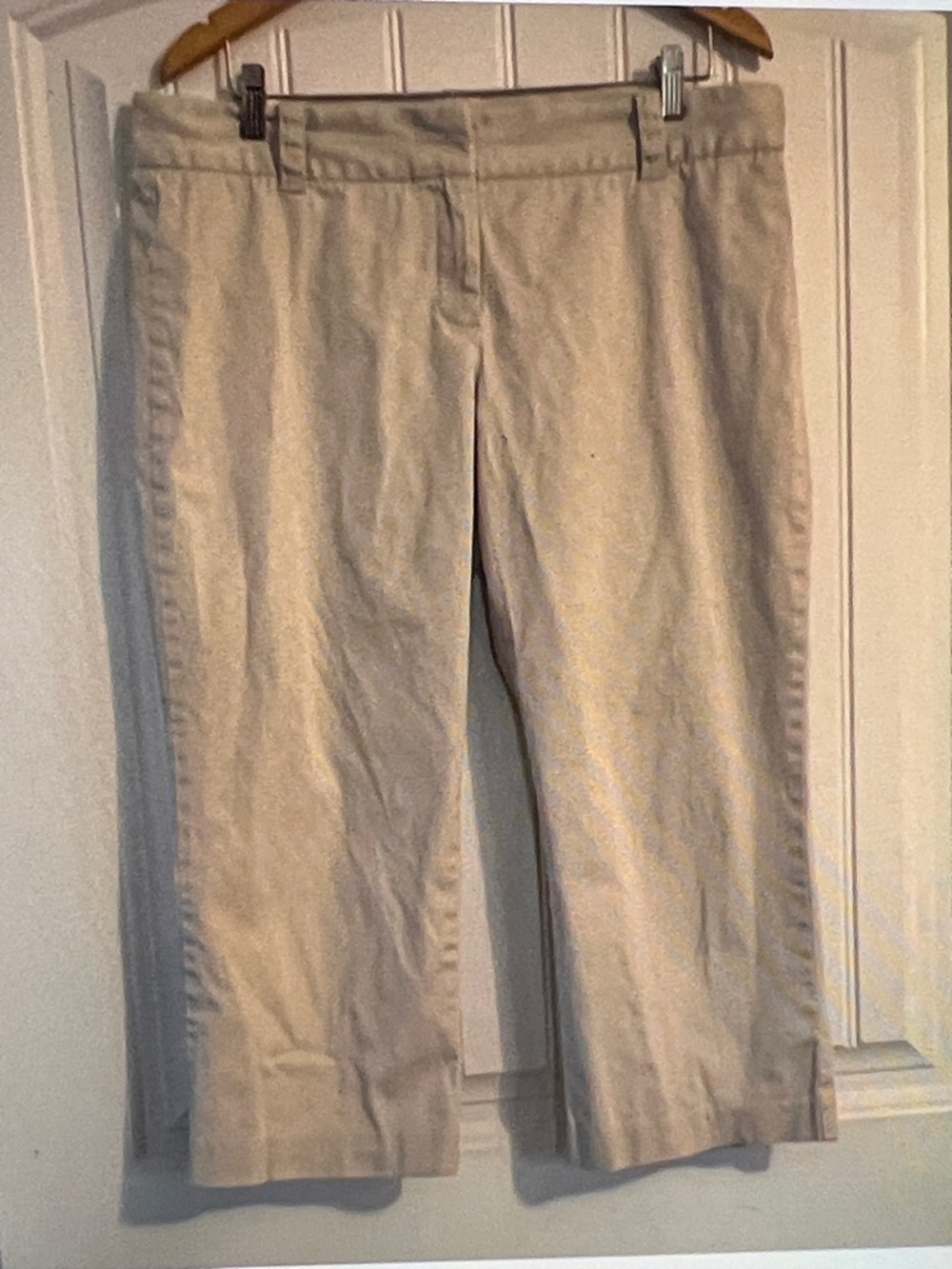 J Crew City Fit Stretch Crop Pants Size 14